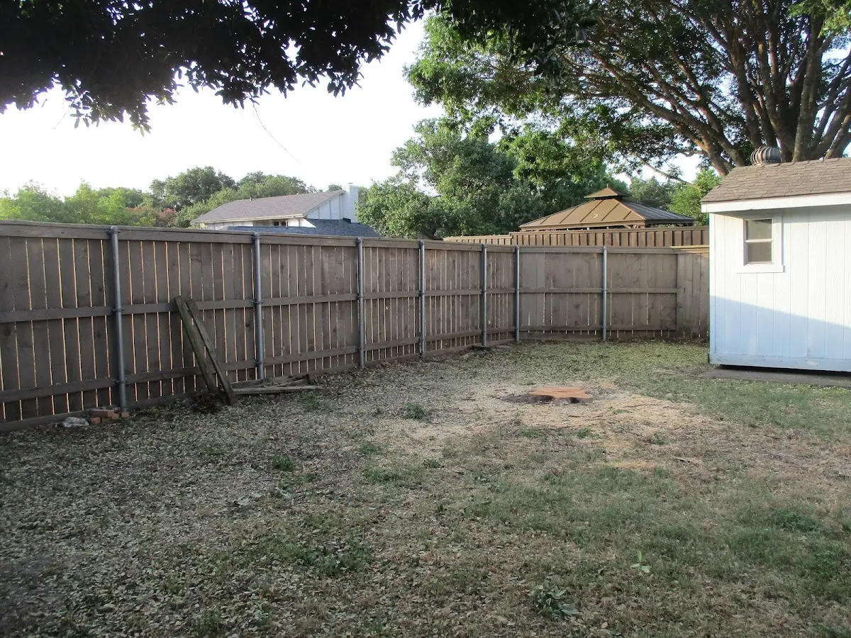 Cleared yard after professional tree removal in Panama